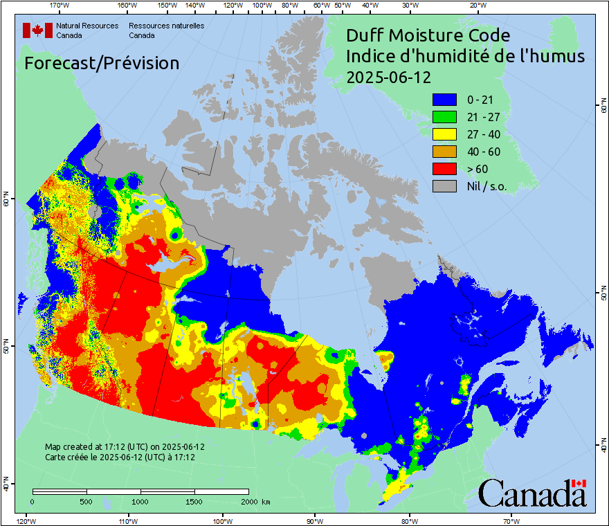 Duff Moisture Code