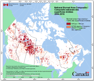 National Burned Area Composite