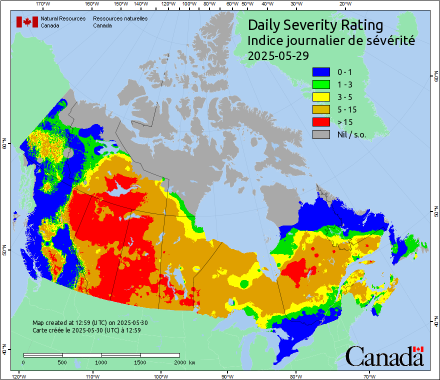 Daily Severity Rating