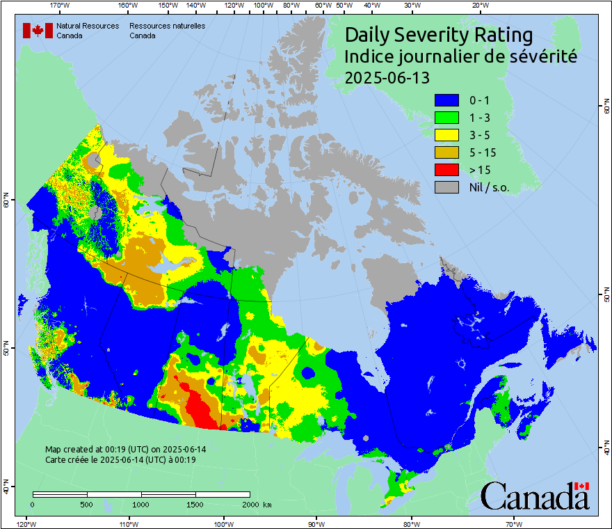 Daily Severity Rating
