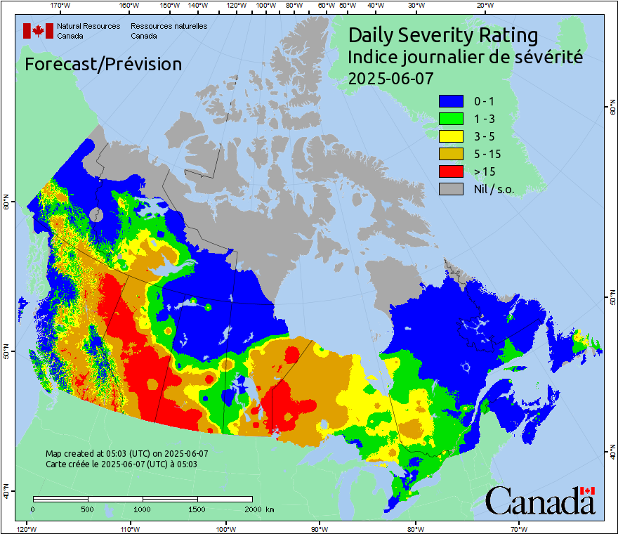 Daily Severity Rating