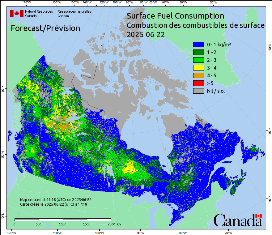 Combustion des combustibles de surface