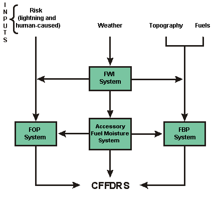 Structure of the CFFDRS