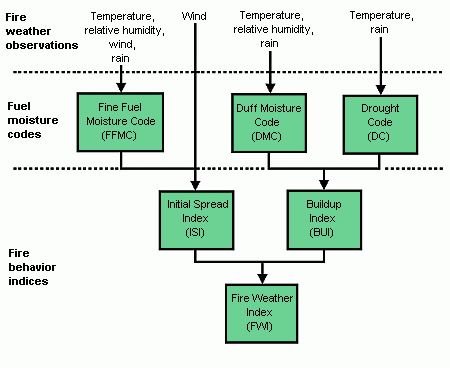 Structure of the Fire Weather Index (FWI) System