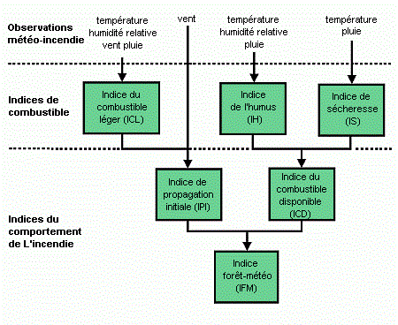 Structure de la méthode de l'indice forêt météo